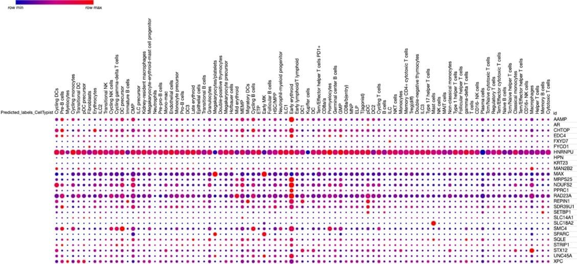 UMAP of cell types by gene expression